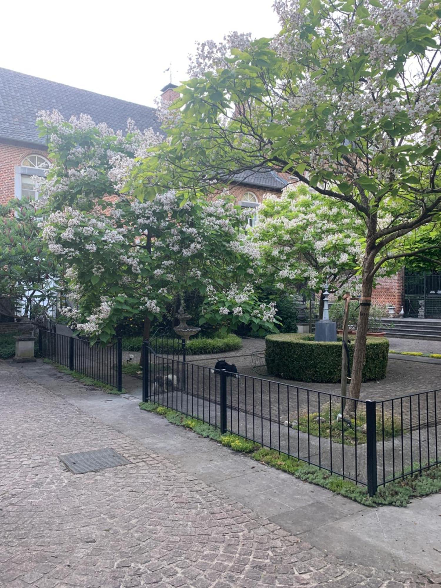 Vakantie Huizen De Heerlijkheid Satenbergh Heers Exterior photo